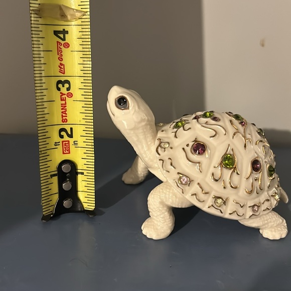 Lenox turtle - Picture 7 of 7
